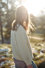 Load image into Gallery viewer, Wol Hide Sweatshirt Sweater