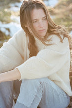 Load image into Gallery viewer, Wol Hide Sweatshirt Sweater